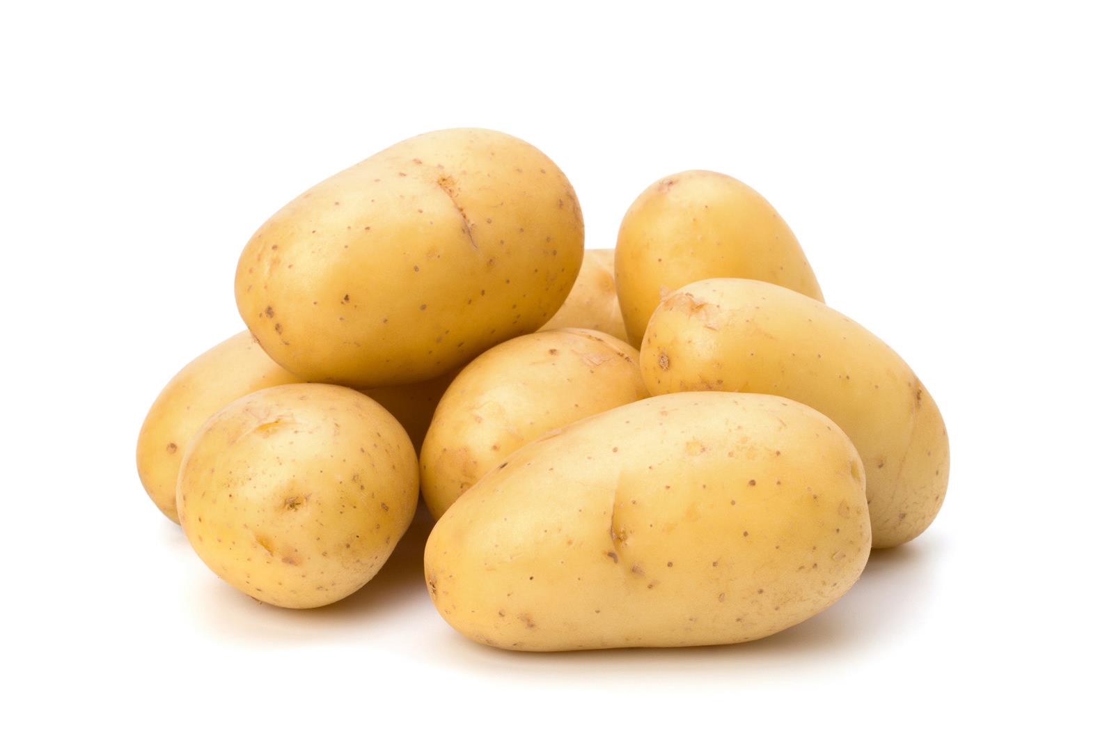 Potato