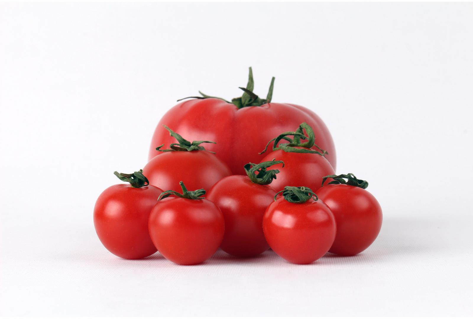 Tomato